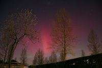 21 januari 2005 - De Bilt