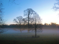 Houdringe, Winter, 7 december 2008