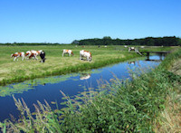 Wandelen, Tienhoven, 19 juni 2005