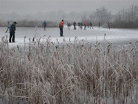 Ankeveense plassen - 31 december 2008