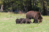 Storm Chasing USA 2011 - Yellowstone, Wyoming