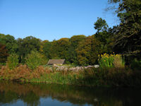 Herfst in Nederland