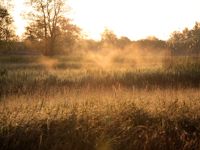 Lente in Nederland
