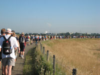Zomer in Nederland