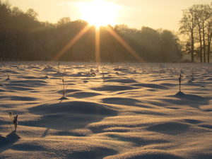 Winterwonderland, Houdringe, De Bilt, 20 december 2010