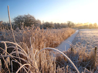 Winter 2008/2009