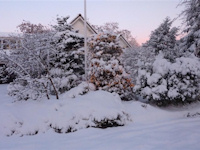 Winter 2009/2010