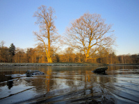 Winter 2011/2012